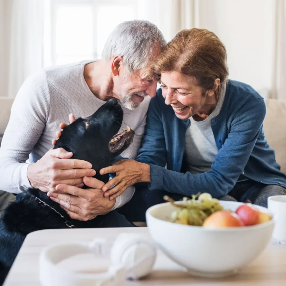 Pet-Friendly Pet-Friendly